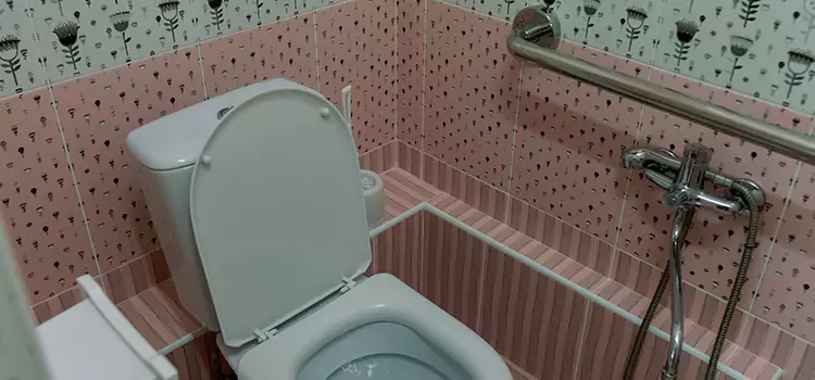 Meeting Diverse Needs With Accessible Restroom Solutions in Four Corners, FL